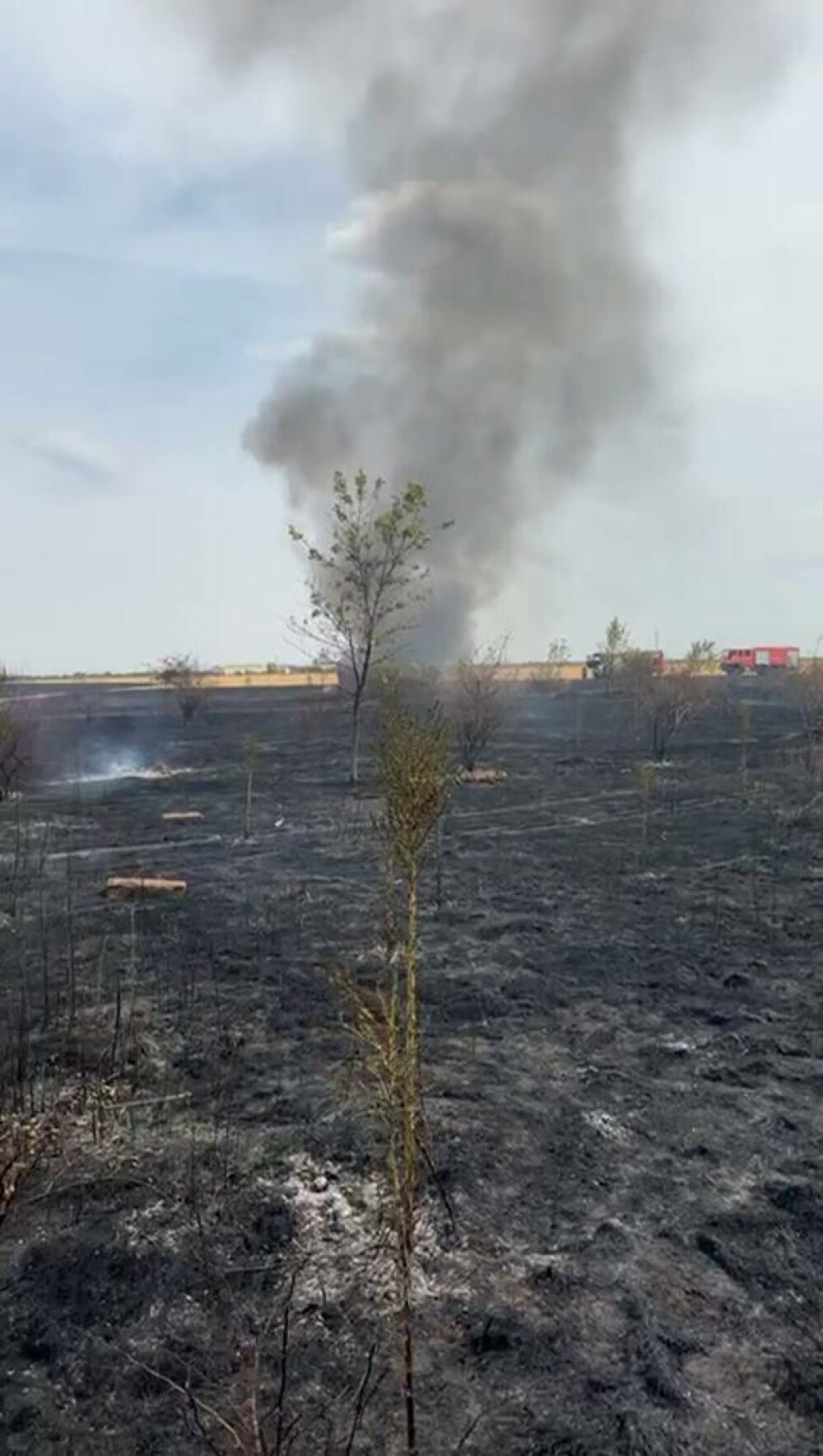 Incendiu de vegetație uscată în Popești-Leordeni. Flăcările s-au extins la o locuință | FOTO & VIDEO - Imaginea 6