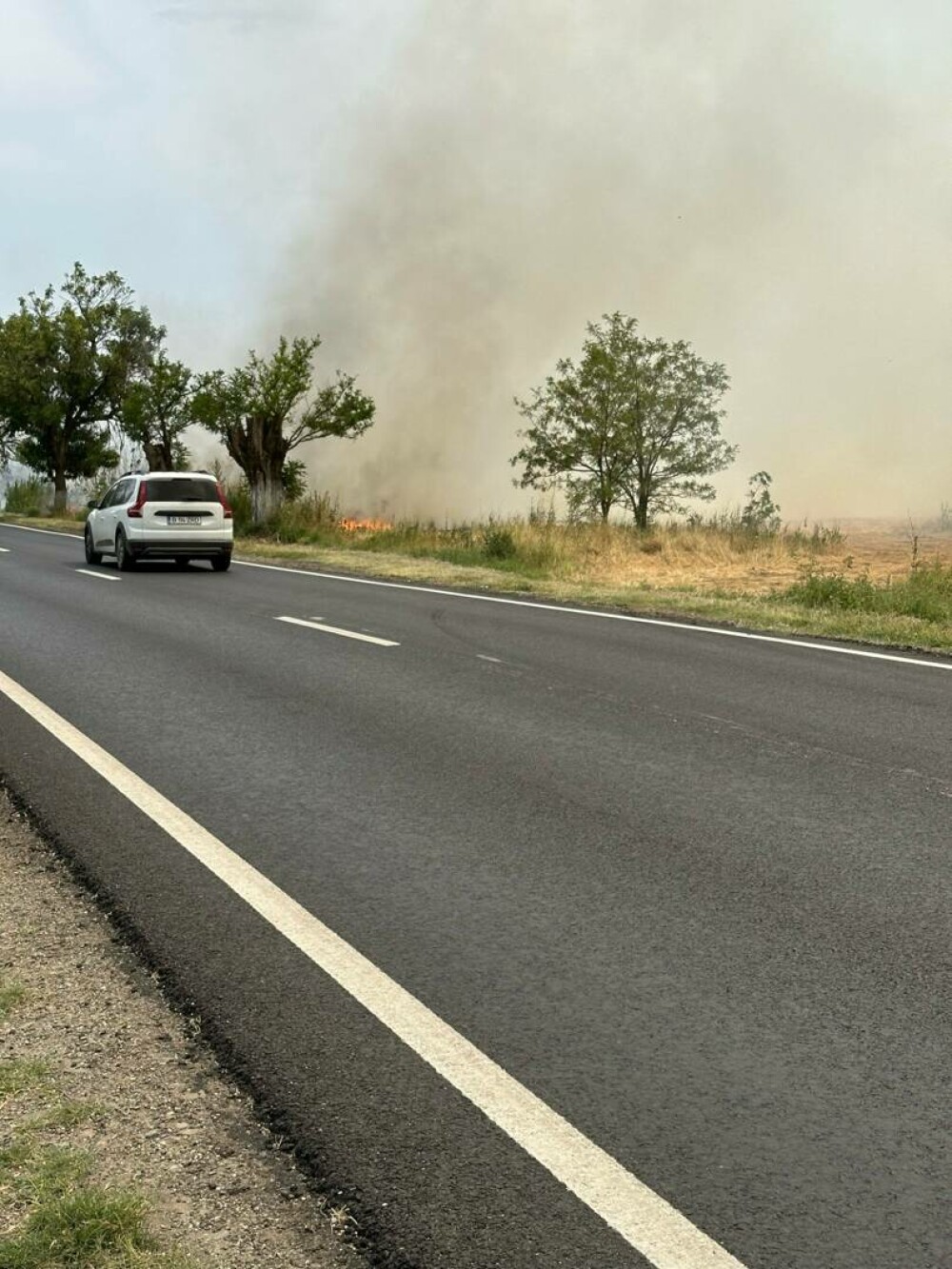 Incendiu de vegetație uscată în Popești-Leordeni. Flăcările s-au extins la o locuință | FOTO & VIDEO - Imaginea 3