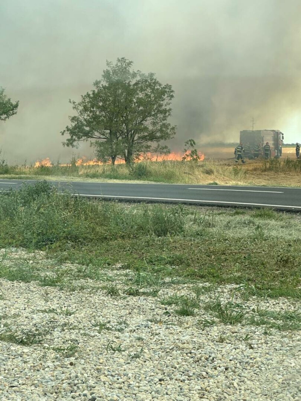 Incendiu de vegetație uscată în Popești-Leordeni. Flăcările s-au extins la o locuință | FOTO & VIDEO - Imaginea 2