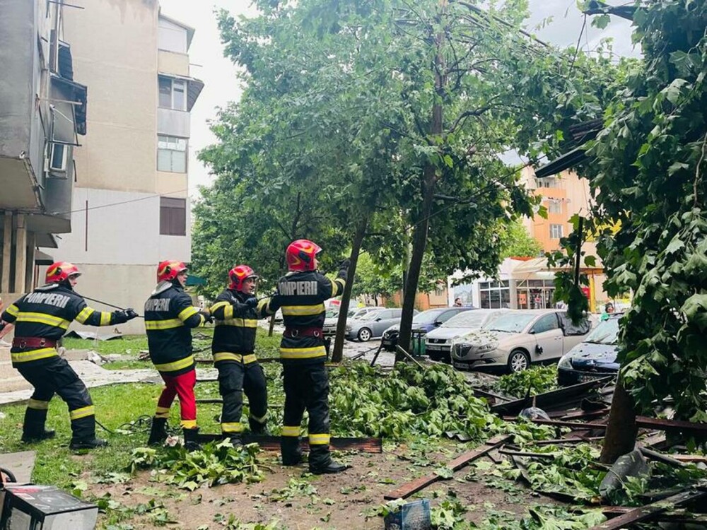 Furtună în București. Mai mulți copaci au fost doborâți de vântul puternic - Imaginea 2
