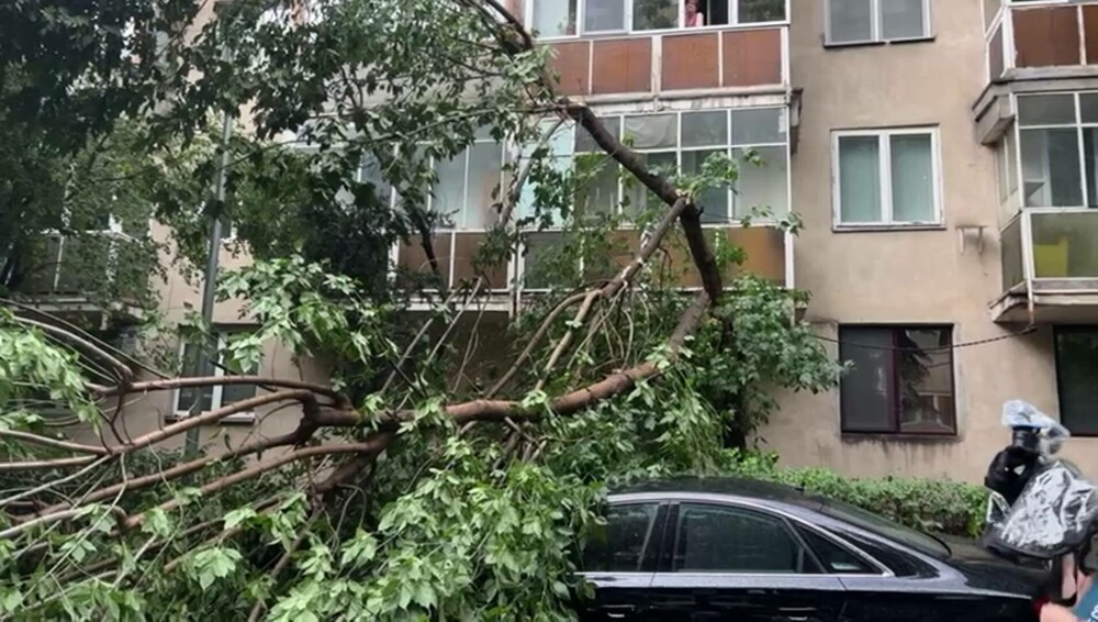 Furtună în București. Mai mulți copaci au fost doborâți de vântul puternic - Imaginea 3