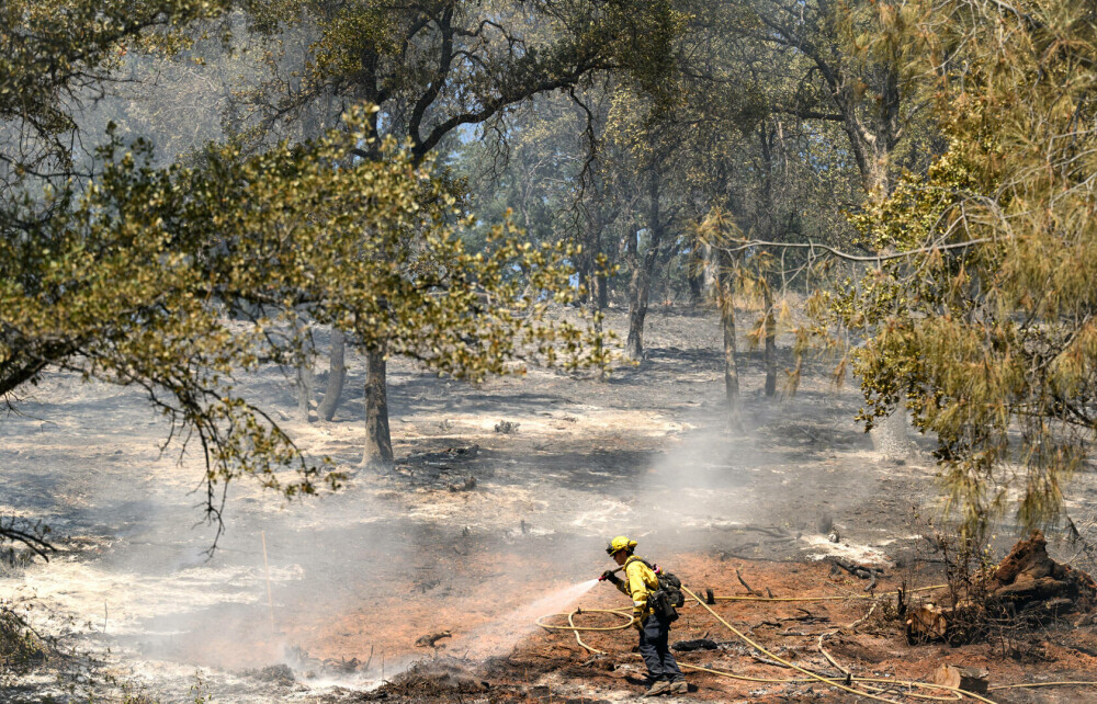 Incendiile se răspândesc în California, în toiul unui val de caniculă. „O căldură periculoasă” - Imaginea 4