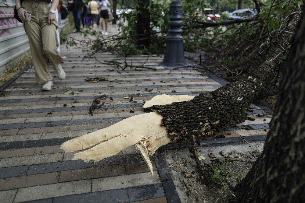 Furtună în București. Zonele din Capitală afectate ploaia torențială cu grindină | FOTO - Imaginea 3