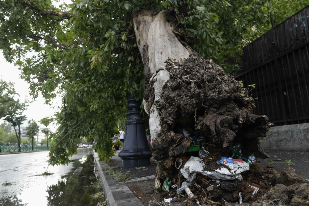 Furtună în București. Zonele din Capitală afectate ploaia torențială cu grindină | FOTO - Imaginea 6