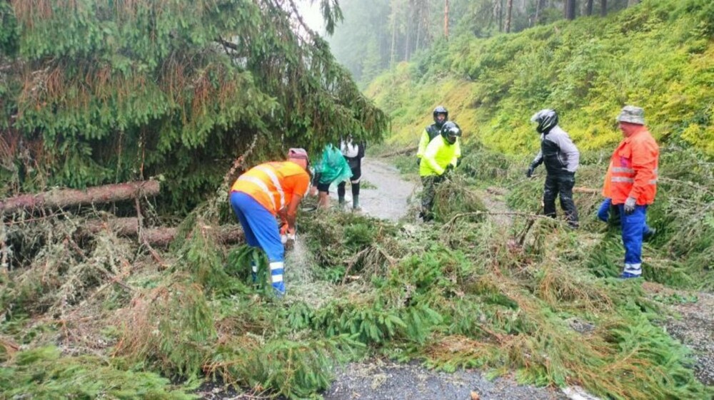 Zeci de mașini au rămas blocate pe Transalpina, din cauza unei furtuni puternice. Vântul a doborât mai mulţi copaci - Imaginea 1