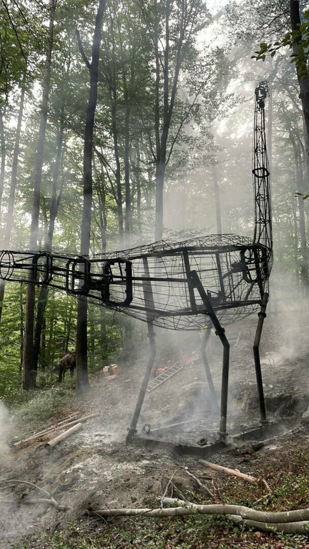 Incendiu la Dino Parc din Râşnov. Un dinozaur de zece metri a luat foc | FOTO & VIDEO - Imaginea 2