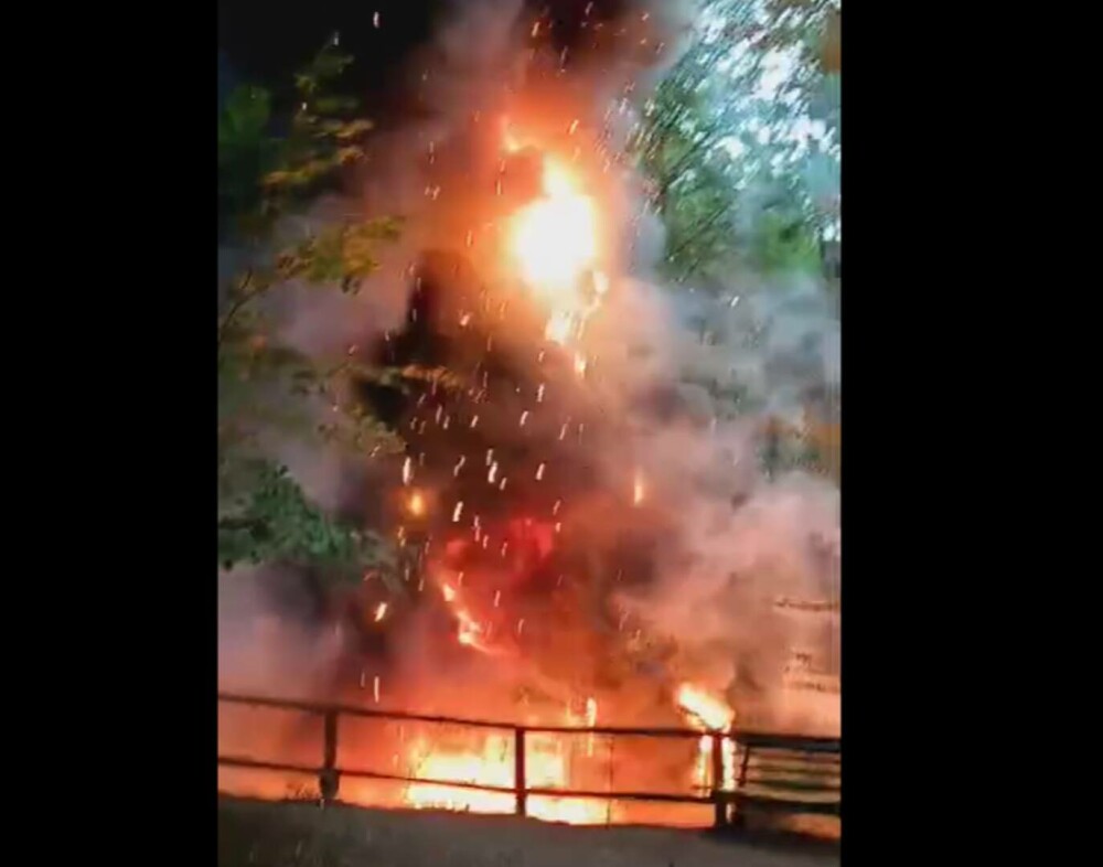 Incendiu la Dino Parc din Râşnov. Un dinozaur de zece metri a luat foc | FOTO & VIDEO - Imaginea 1