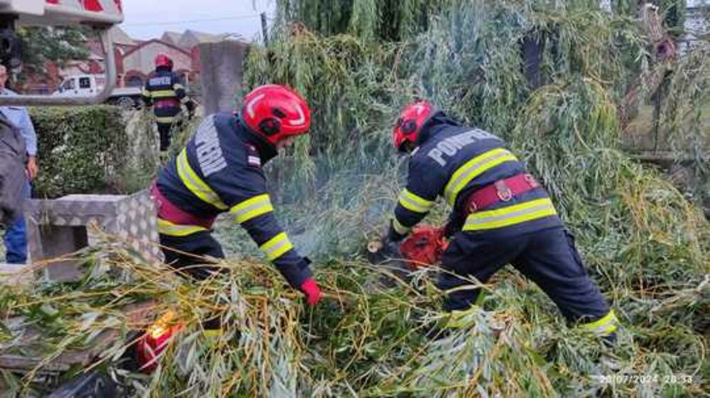 Alimentarea cu electricitate, întreruptă într-un oraș din Hunedoara din cauza unor crengi rupte. Spitalul CFR este afectat - Imaginea 1