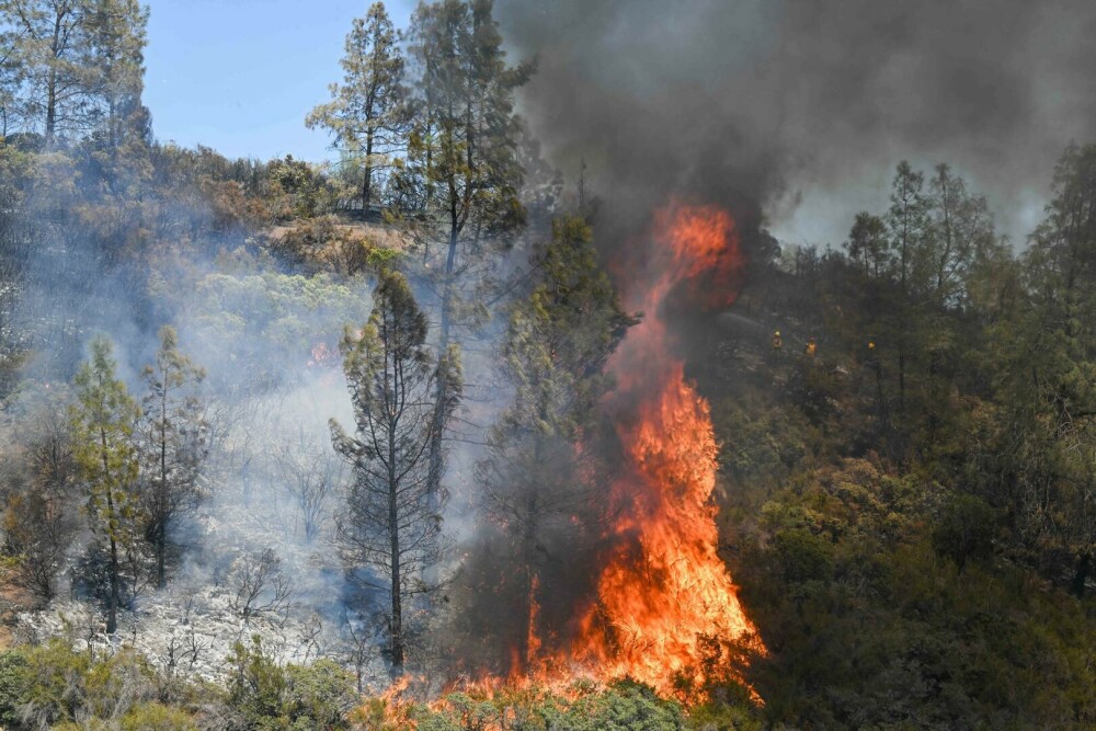 Incendiu masiv de vegetație în California. Cel puțin 3.500 de locuitori au fost evacuați, 20.000 de hectare mistuite. VIDEO - Imaginea 4