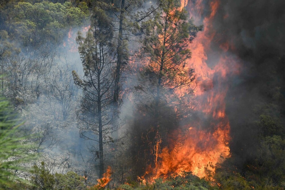 Incendiu masiv de vegetație în California. Cel puțin 3.500 de locuitori au fost evacuați, 20.000 de hectare mistuite. VIDEO - Imaginea 1