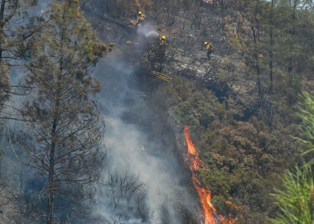 Incendiu masiv de vegetație în California. Cel puțin 3.500 de locuitori au fost evacuați, 20.000 de hectare mistuite. VIDEO - Imaginea 7