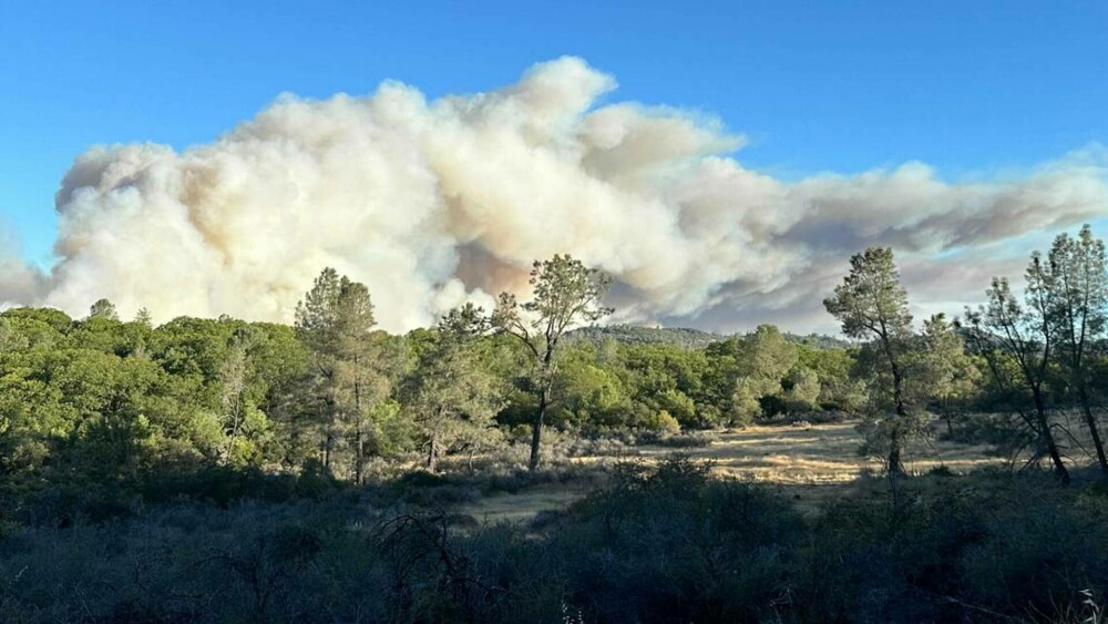 Incendiu masiv de vegetație în California. Cel puțin 3.500 de locuitori au fost evacuați, 20.000 de hectare mistuite. VIDEO - Imaginea 9