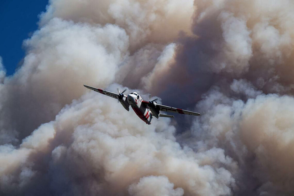 Incendiu masiv de vegetație în California. Cel puțin 3.500 de locuitori au fost evacuați, 20.000 de hectare mistuite. VIDEO - Imaginea 11