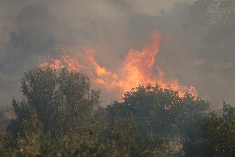 Creta, cuprinsă de flăcări. Pompierii duc o luptă crâncenă cu incendiile de vegetație, mii de localnici și turiști evacuați - Imaginea 13