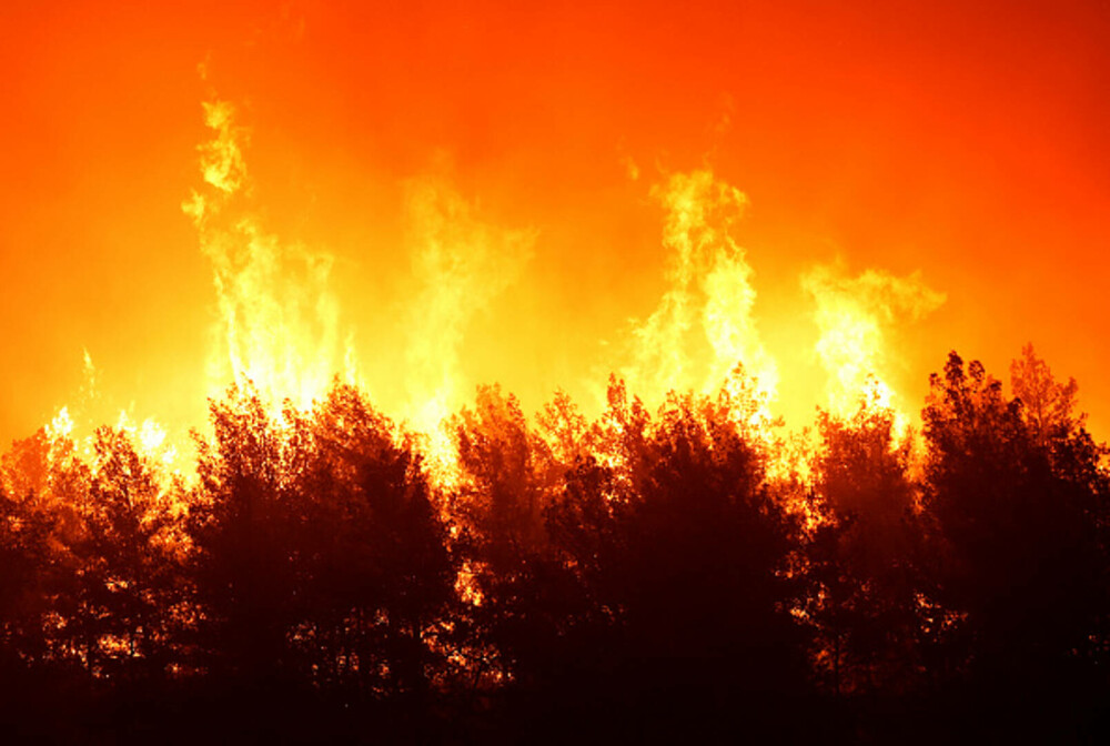 Turcia, împărțită între incendii de vegetaţie și ninsori. „E prima dacă când văd zăpadă în iulie”. GALERIE FOTO - Imaginea 3