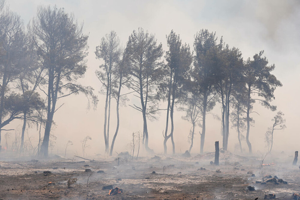 Turcia, împărțită între incendii de vegetaţie și ninsori. „E prima dacă când văd zăpadă în iulie”. GALERIE FOTO - Imaginea 15