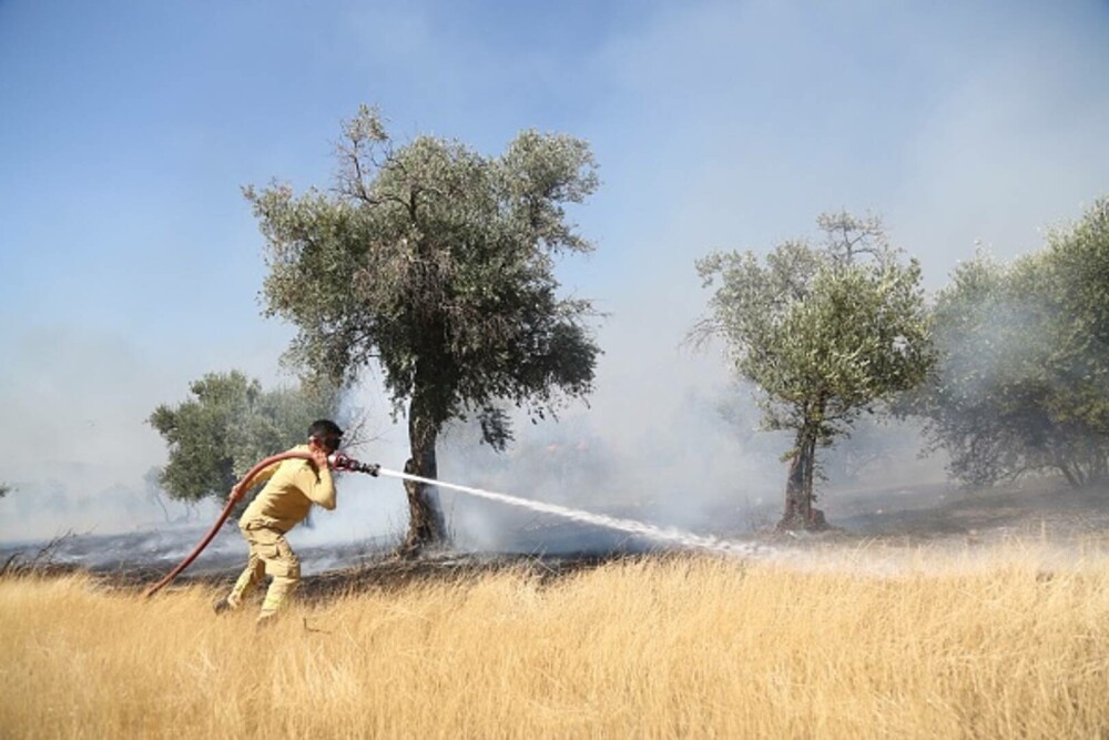 Turcia, împărțită între incendii de vegetaţie și ninsori. „E prima dacă când văd zăpadă în iulie”. GALERIE FOTO - Imaginea 23