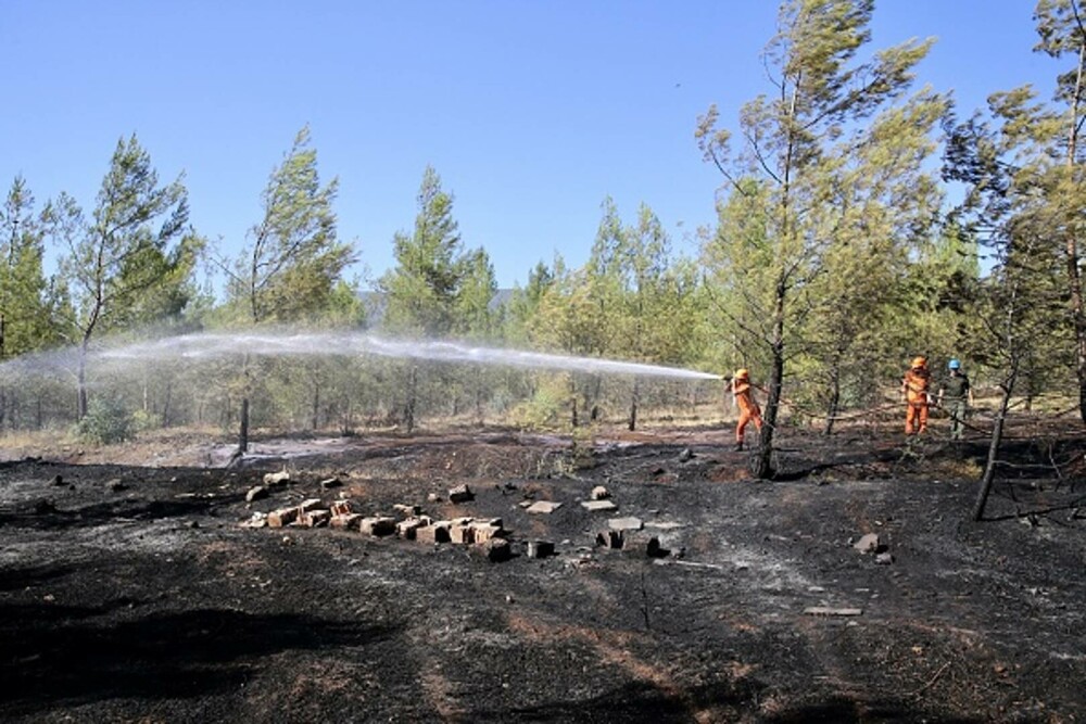 Turcia, împărțită între incendii de vegetaţie și ninsori. „E prima dacă când văd zăpadă în iulie”. GALERIE FOTO - Imaginea 38