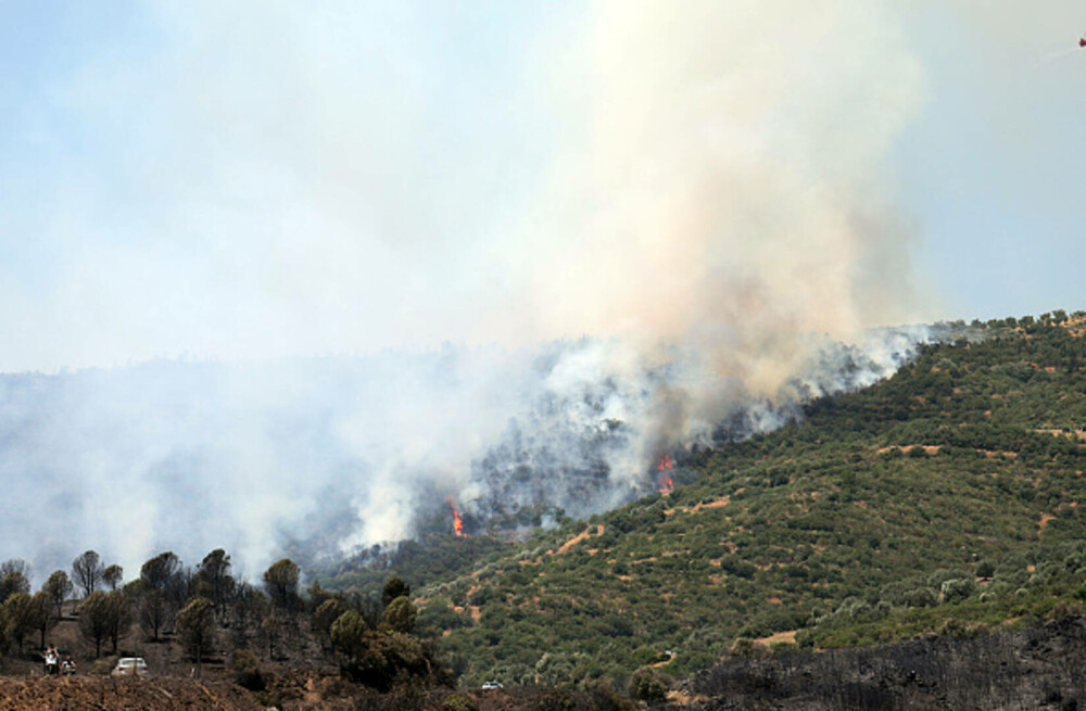 Turcia, împărțită între incendii de vegetaţie și ninsori. „E prima dacă când văd zăpadă în iulie”. GALERIE FOTO - Imaginea 40
