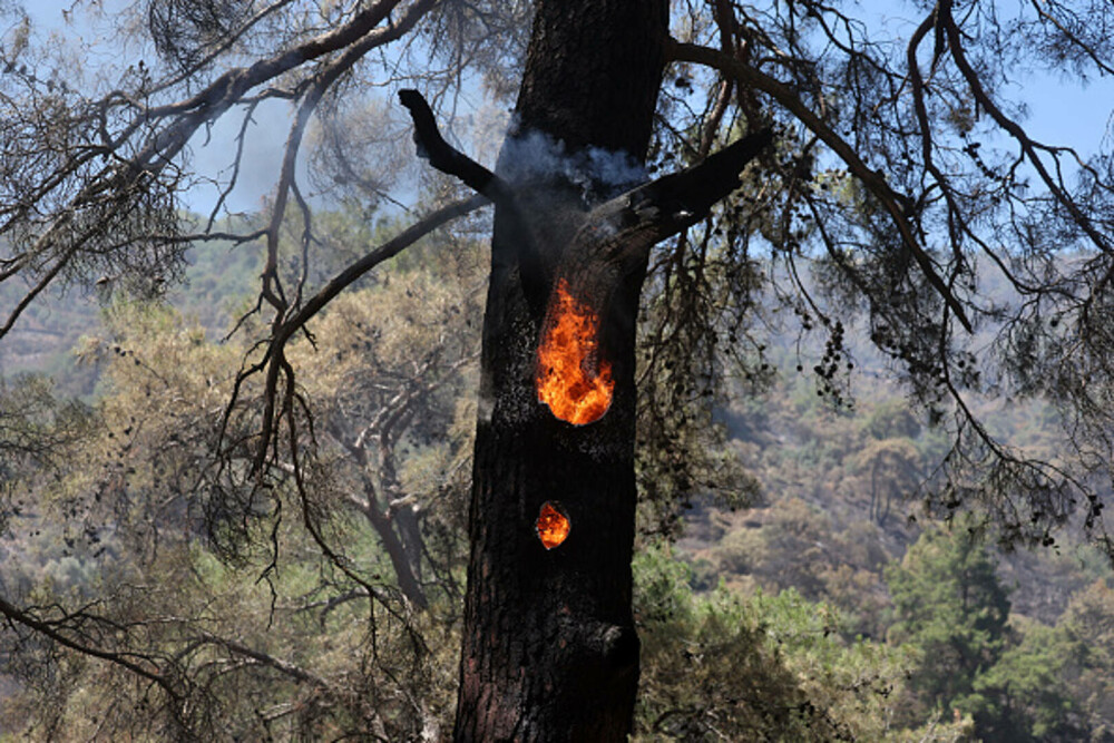 Turcia, împărțită între incendii de vegetaţie și ninsori. „E prima dacă când văd zăpadă în iulie”. GALERIE FOTO - Imaginea 43