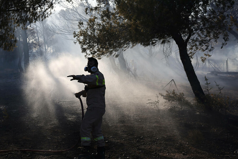 Incendiile de vegetație fac prăpăd în Grecia. A fost decretată stare de urgență în zonele afectate. „Focul este uriaș”. FOTO - Imaginea 13