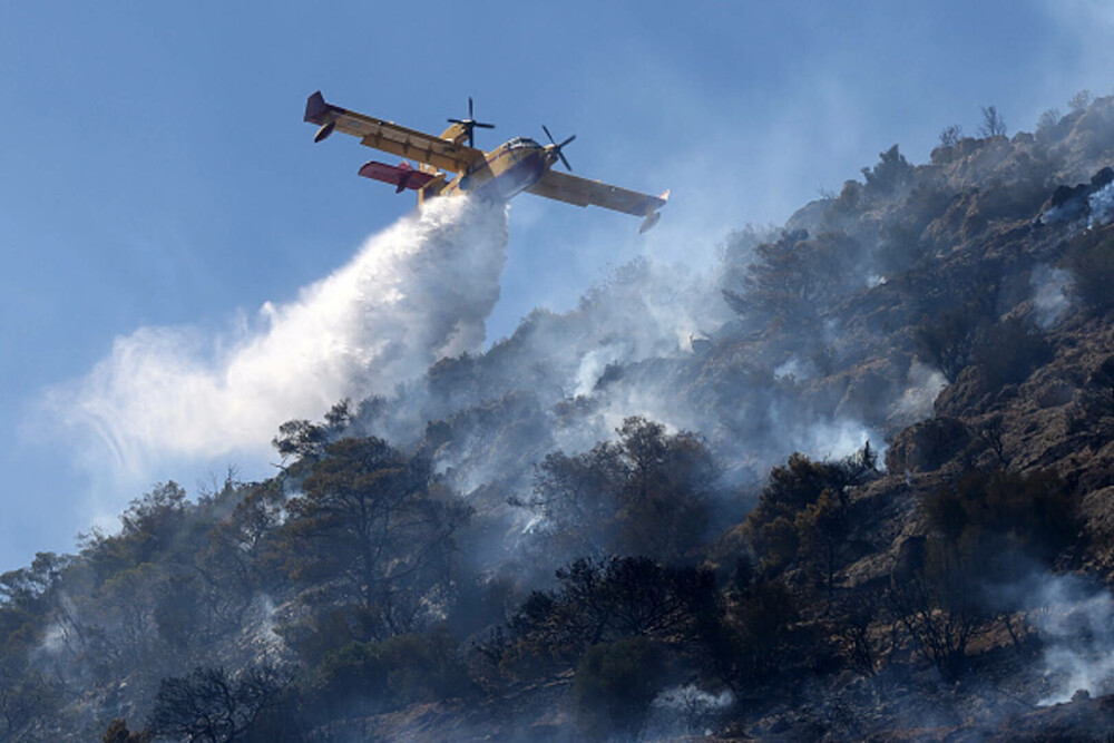 Incendiile de vegetație fac prăpăd în Grecia. A fost decretată stare de urgență în zonele afectate. „Focul este uriaș”. FOTO - Imaginea 16