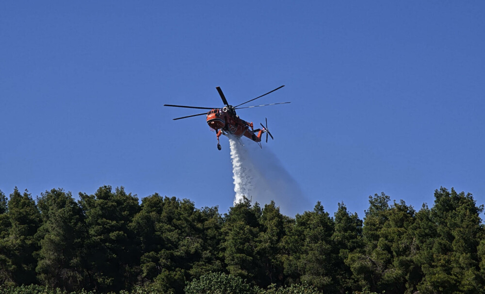 Pompierii din Grecia se luptă cu un nou incendiu de vegetaţie, în Evia, dar fac progrese în Creta. FOTO - Imaginea 6