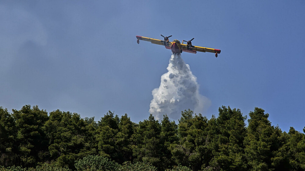 Pompierii din Grecia se luptă cu un nou incendiu de vegetaţie, în Evia, dar fac progrese în Creta. FOTO - Imaginea 7