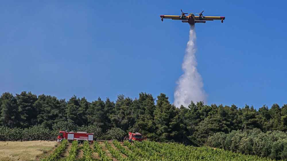 Pompierii din Grecia se luptă cu un nou incendiu de vegetaţie, în Evia, dar fac progrese în Creta. FOTO - Imaginea 8