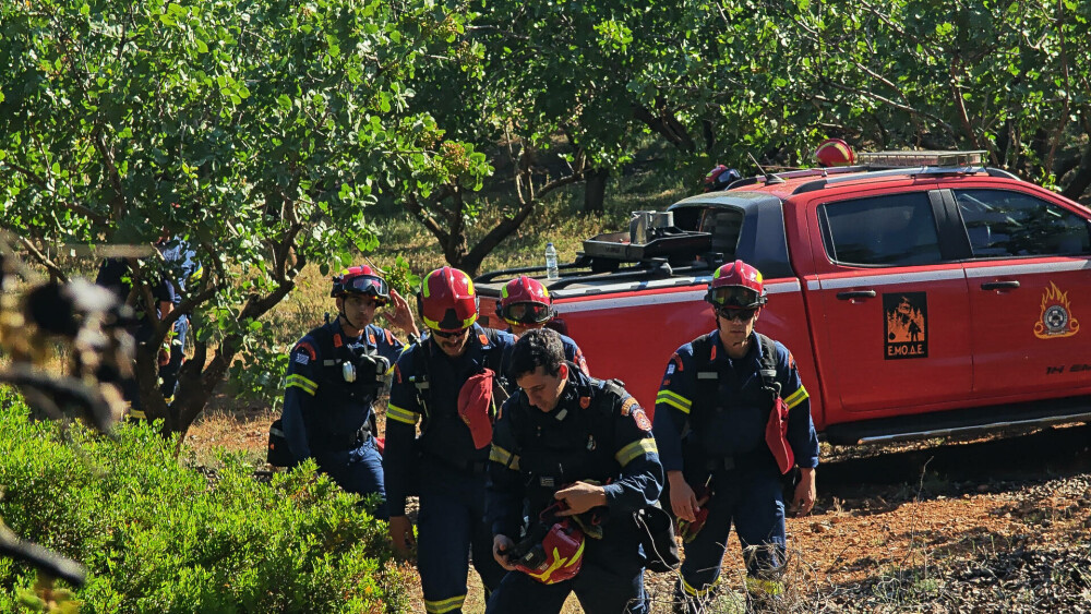 Pompierii din Grecia se luptă cu un nou incendiu de vegetaţie, în Evia, dar fac progrese în Creta. FOTO - Imaginea 10