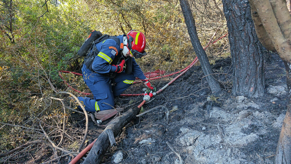 Pompierii din Grecia se luptă cu un nou incendiu de vegetaţie, în Evia, dar fac progrese în Creta. FOTO - Imaginea 11