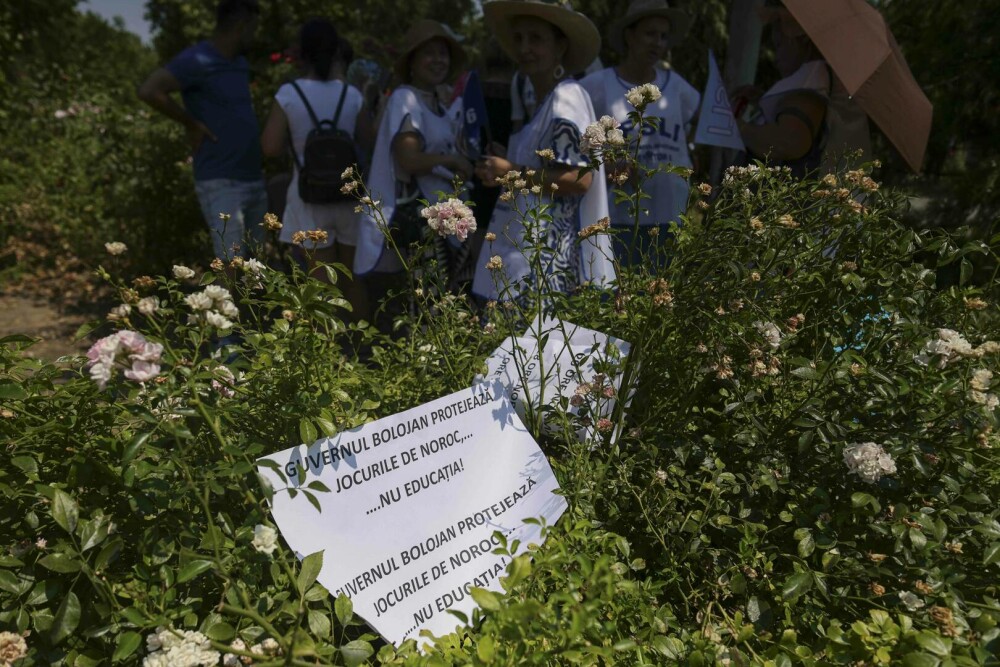 Sindicatele din Parlament denunţă tăierea abuzivă a sporurilor: Urmează blocaje instituţionale. Ce solicitări au - Imaginea 5
