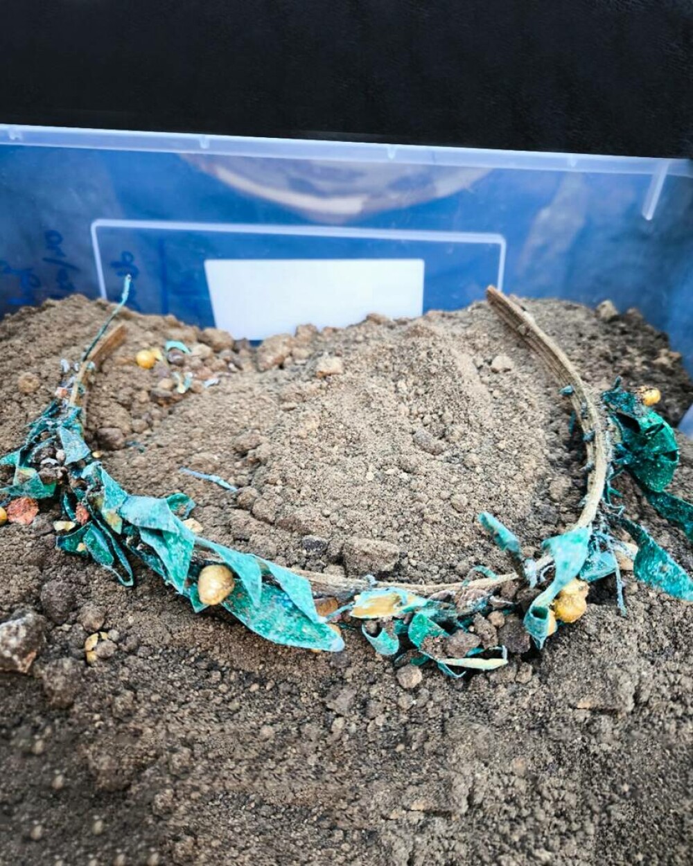 Descoperire arheologică excepțională la Mangalia. Piese de aur vechi de 2.300 de ani intră direct în Tezaurul României VIDEO - Imaginea 3
