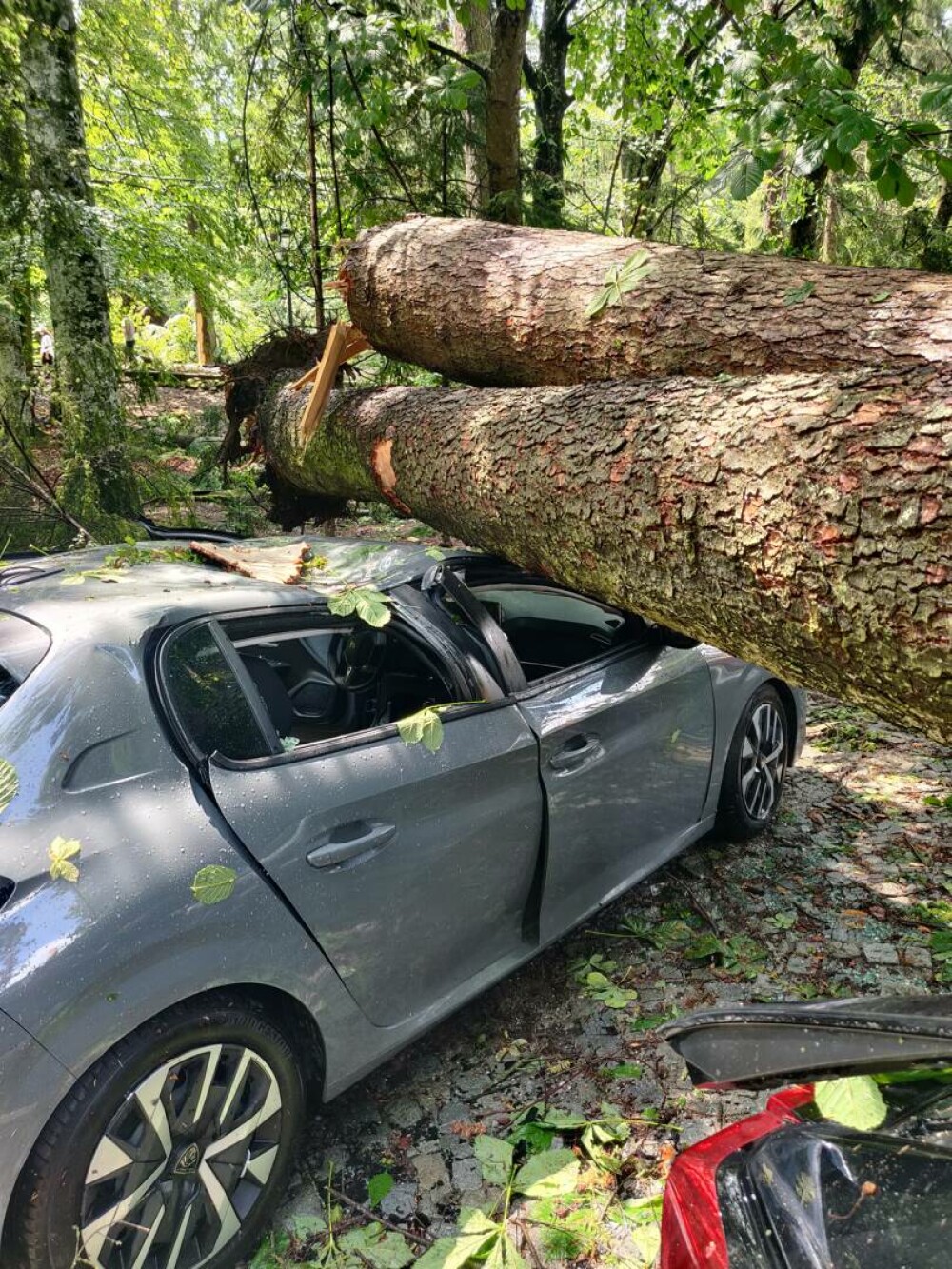 Distrugeri masive în Sinaia. O furtună extrem de puternică a rănit numeroși oameni. Acoperișul celebrei gări, smuls | VIDEO - Imaginea 5