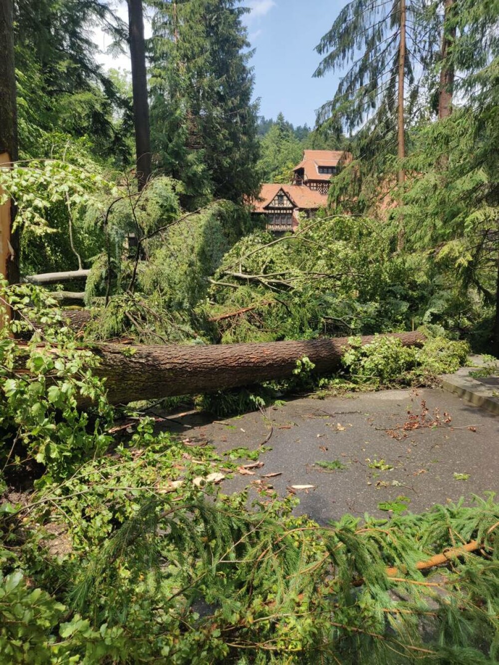 Distrugeri masive în Sinaia. O furtună extrem de puternică a rănit numeroși oameni. Acoperișul celebrei gări, smuls | VIDEO - Imaginea 6