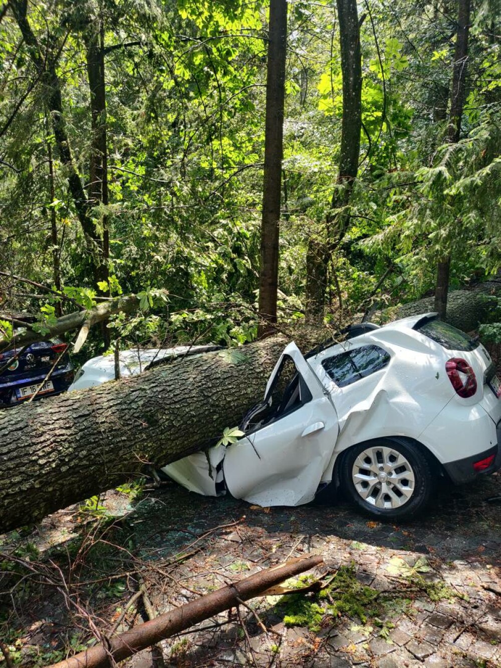 Distrugeri masive în Sinaia. O furtună extrem de puternică a rănit numeroși oameni. Acoperișul celebrei gări, smuls | VIDEO - Imaginea 7