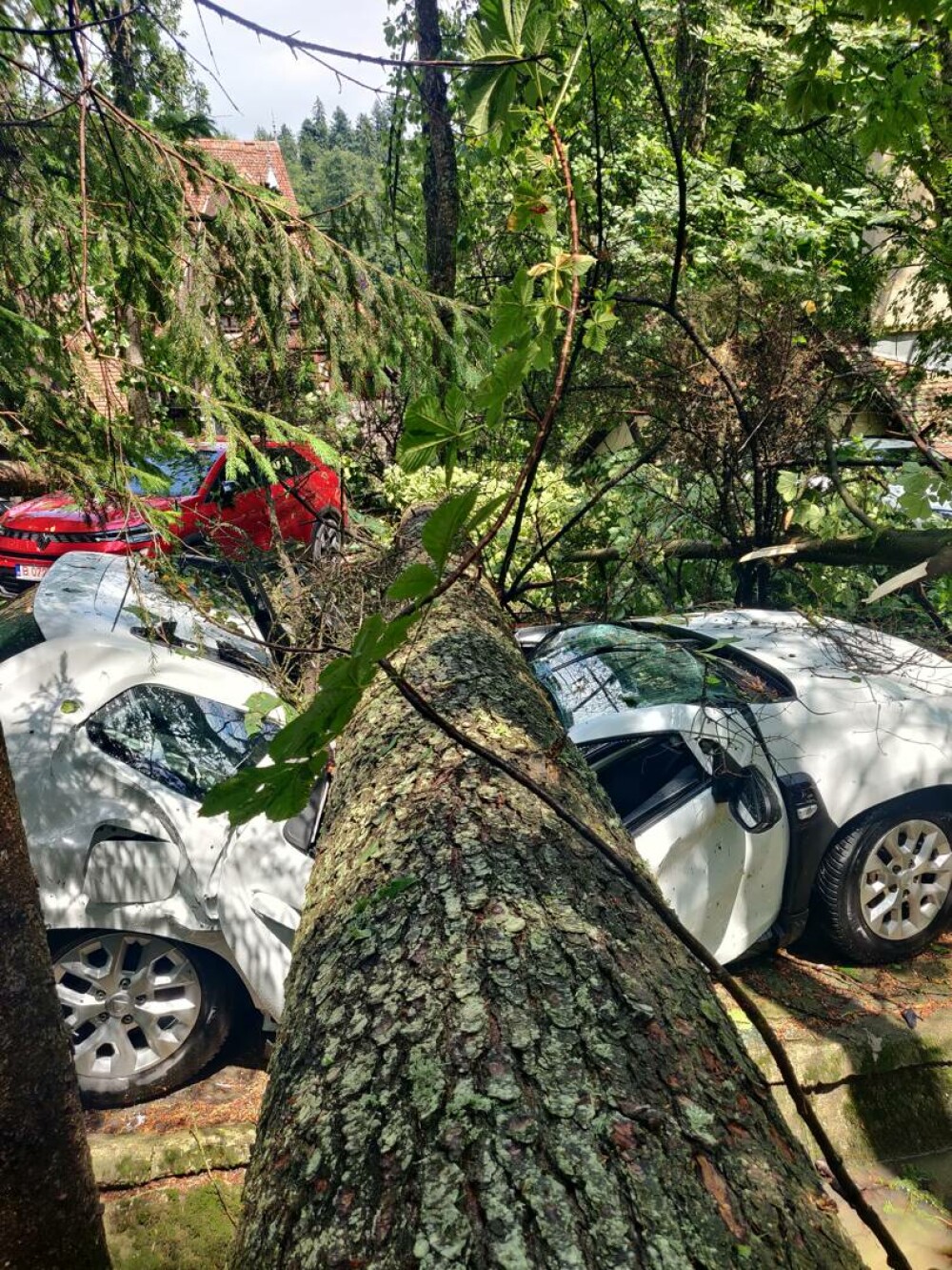 Distrugeri masive în Sinaia. O furtună extrem de puternică a rănit numeroși oameni. Acoperișul celebrei gări, smuls | VIDEO - Imaginea 8