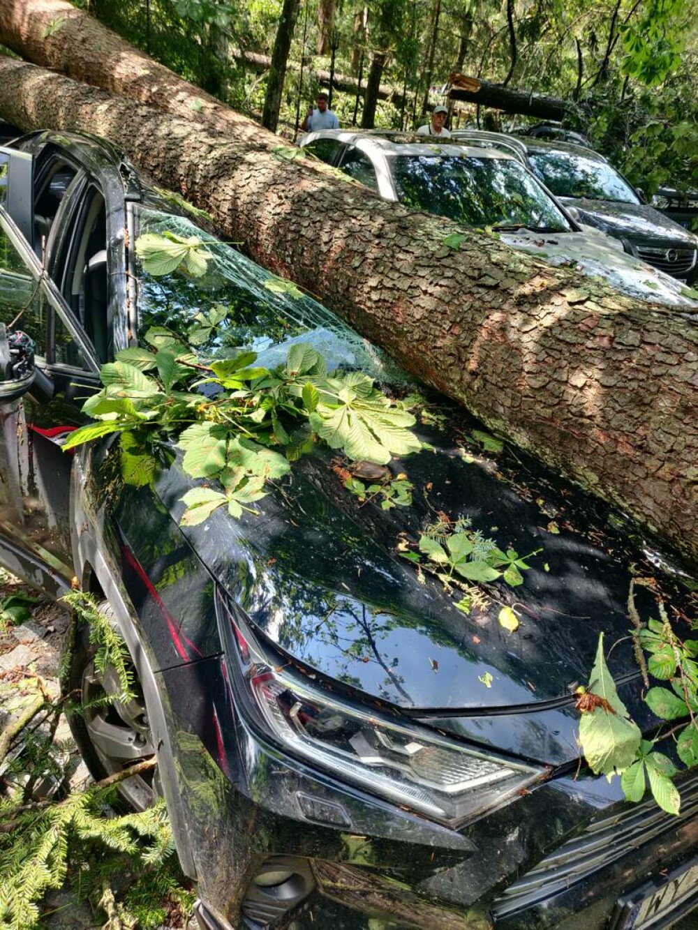 Distrugeri masive în Sinaia. O furtună extrem de puternică a rănit numeroși oameni. Acoperișul celebrei gări, smuls | VIDEO - Imaginea 9