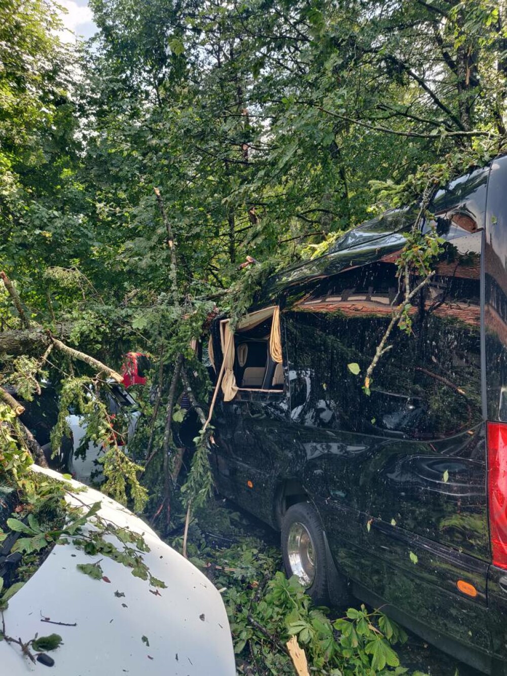 Distrugeri masive în Sinaia. O furtună extrem de puternică a rănit numeroși oameni. Acoperișul celebrei gări, smuls | VIDEO - Imaginea 10