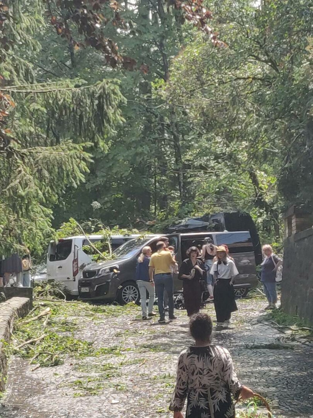 Distrugeri masive în Sinaia. O furtună extrem de puternică a rănit numeroși oameni. Acoperișul celebrei gări, smuls | VIDEO - Imaginea 13