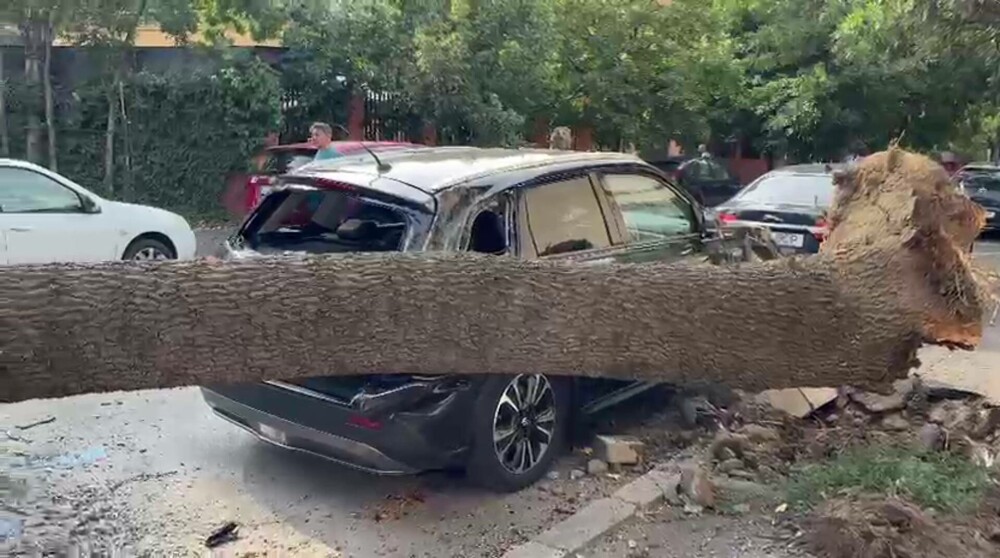 Cod roșu de vijelii și grindină de mari dimensiuni, în București. O femeie a murit, după ce un acoperiș i-a intrat în casă - Imaginea 4