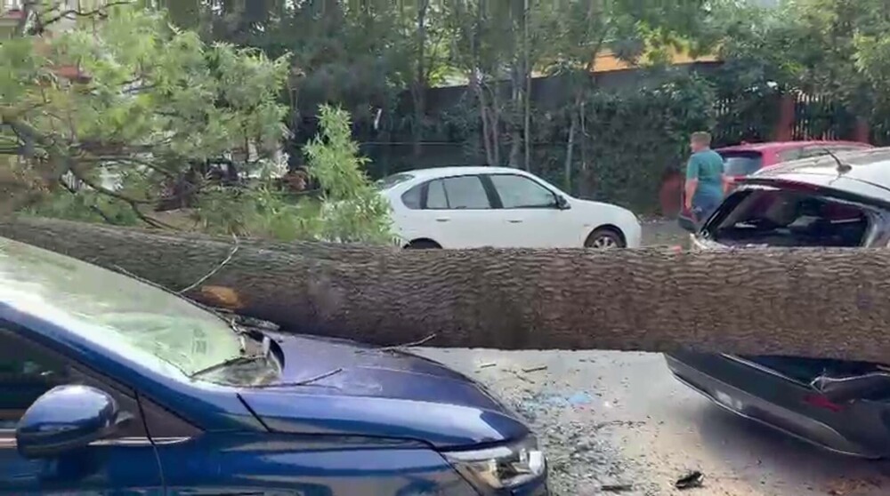 Cod roșu de vijelii și grindină de mari dimensiuni, în București. O femeie a murit, după ce un acoperiș i-a intrat în casă - Imaginea 5