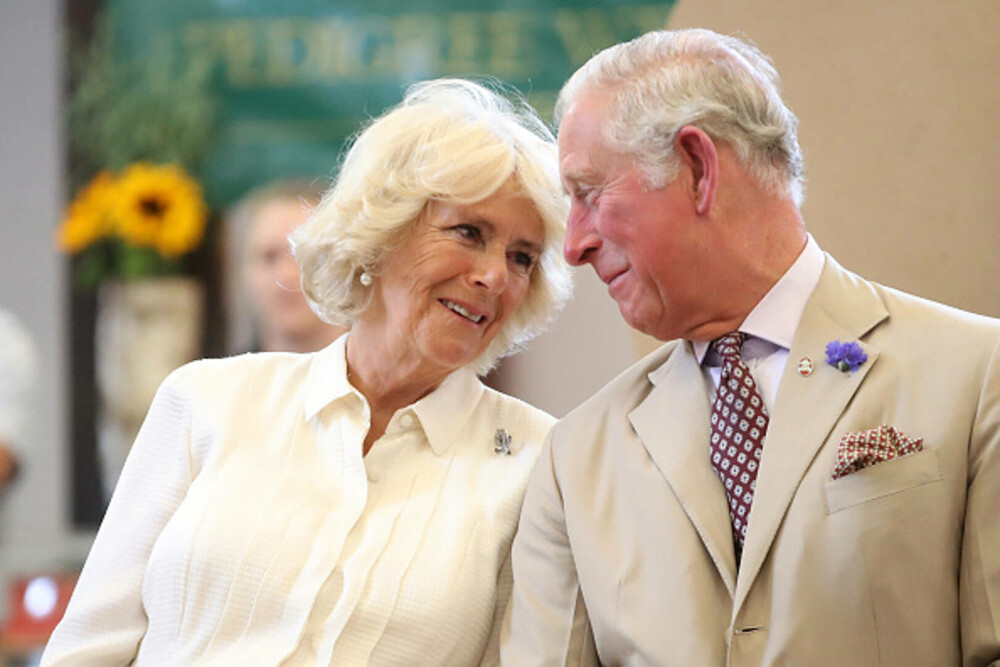 Regina Camilla a împlinit 78 de ani. Portretul aniversar a fost făcut la reședința privată a soției regelui Charles. FOTO - Imaginea 28