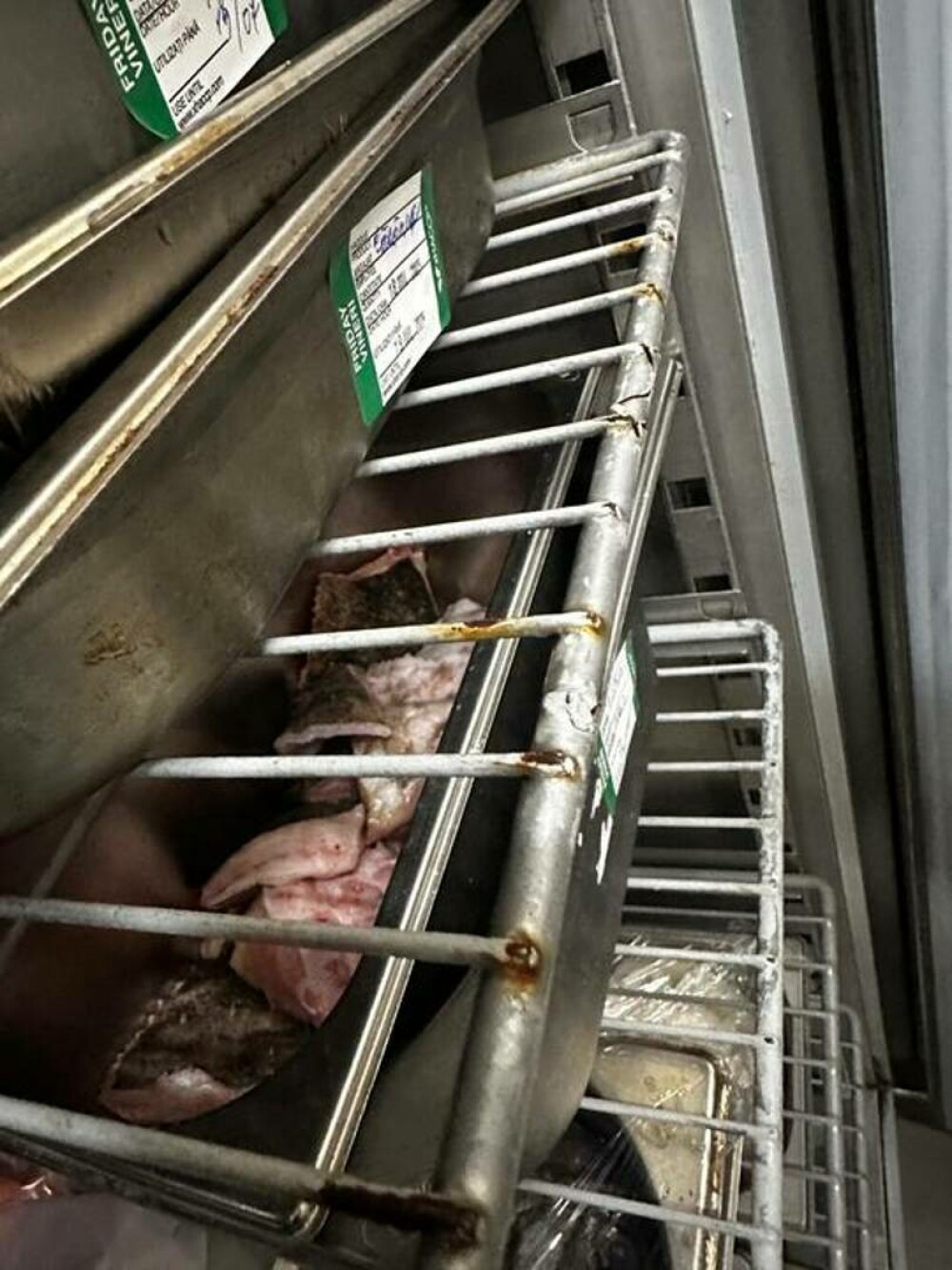 ANPC a închis temporar şapte cluburi de pe litoral. Ce nereguli au descoperit comisarii. FOTO - Imaginea 2