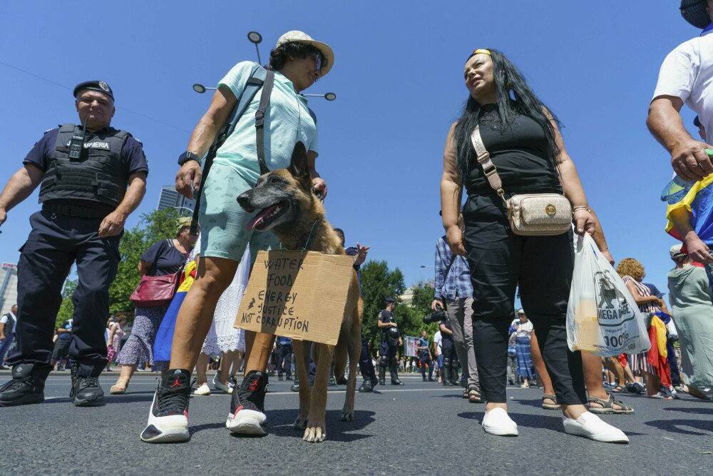 Incidente la protestul susținătorilor lui Călin Georgescu în Piața Victoriei. Un bărbat a adus cartofi pentru a-i ”înarma” - Imaginea 7