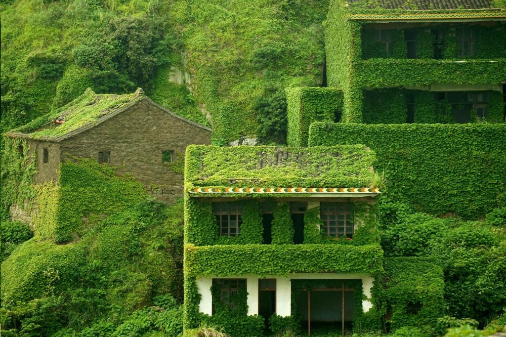 Un sat abandonat din China, înghițit de natură. Vegetația a acoperit complet casele uitate de localnici. FOTO - Imaginea 1