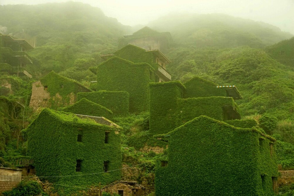 Un sat abandonat din China, înghițit de natură. Vegetația a acoperit complet casele uitate de localnici. FOTO - Imaginea 3