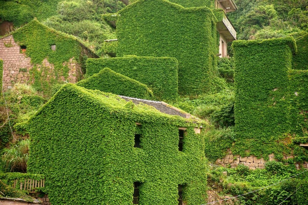 Un sat abandonat din China, înghițit de natură. Vegetația a acoperit complet casele uitate de localnici. FOTO - Imaginea 4