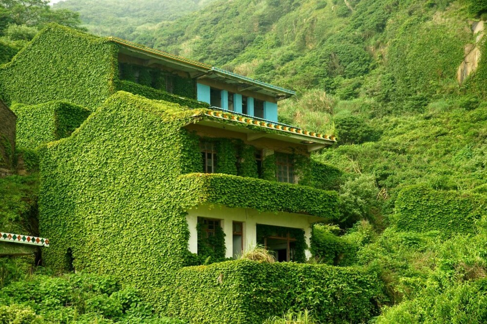 Un sat abandonat din China, înghițit de natură. Vegetația a acoperit complet casele uitate de localnici. FOTO - Imaginea 8