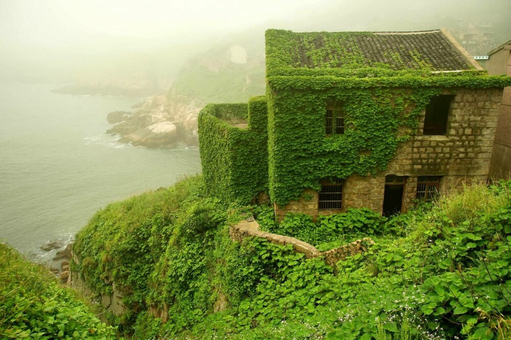 Un sat abandonat din China, înghițit de natură. Vegetația a acoperit complet casele uitate de localnici. FOTO - Imaginea 11